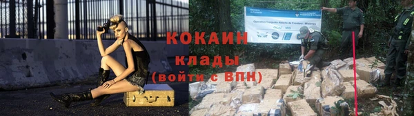 хмурый Сосновый Бор
