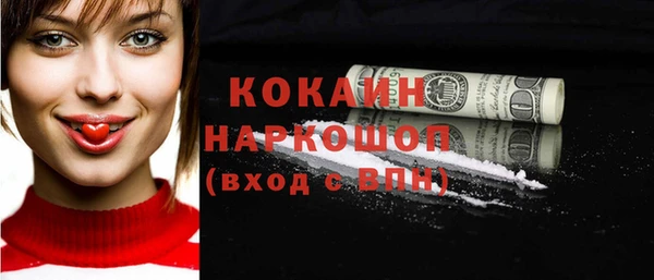 хмурый Сосновый Бор