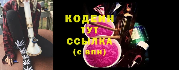 хмурый Сосновый Бор