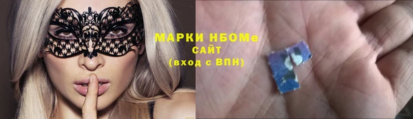 хмурый Сосновый Бор
