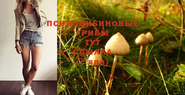 хмурый Сосновый Бор