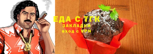 хмурый Сосновый Бор