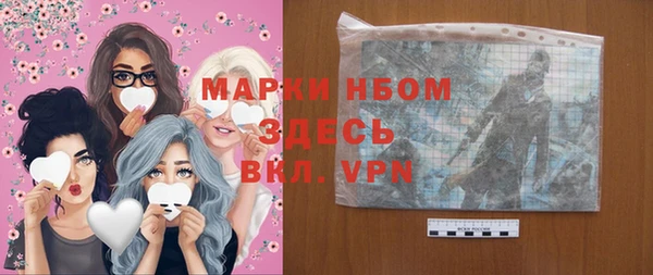 хмурый Сосновый Бор