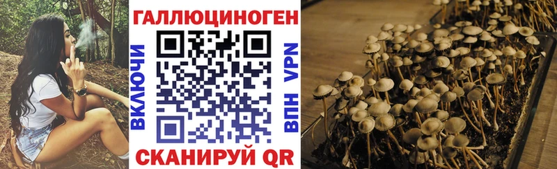 Псилоцибиновые грибы Psilocybine cubensis  Купить где  Сердобск 